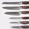 set-1 (3) SXL-9 Professional Damascus Knife with High Carbon Japanese 67 Layers VG-10 Damascus Stainless Steel, Ergonomic stabilized wood Handle and Beautiful Tiny Wave Blade Pattern