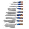SXL-11, Damascus Knife Japanese VG10 Core Steel with 67-Layers High Carbon Professional Sharp Ergonomic Beautiful Blue Resin Handle Gift Boxed