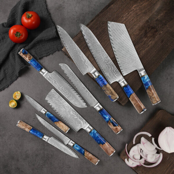 SXL-11, Damascus Knife Japanese VG10 Core Steel with 67-Layers High Carbon Professional Sharp Ergonomic Beautiful Blue Resin Handle Gift Boxed